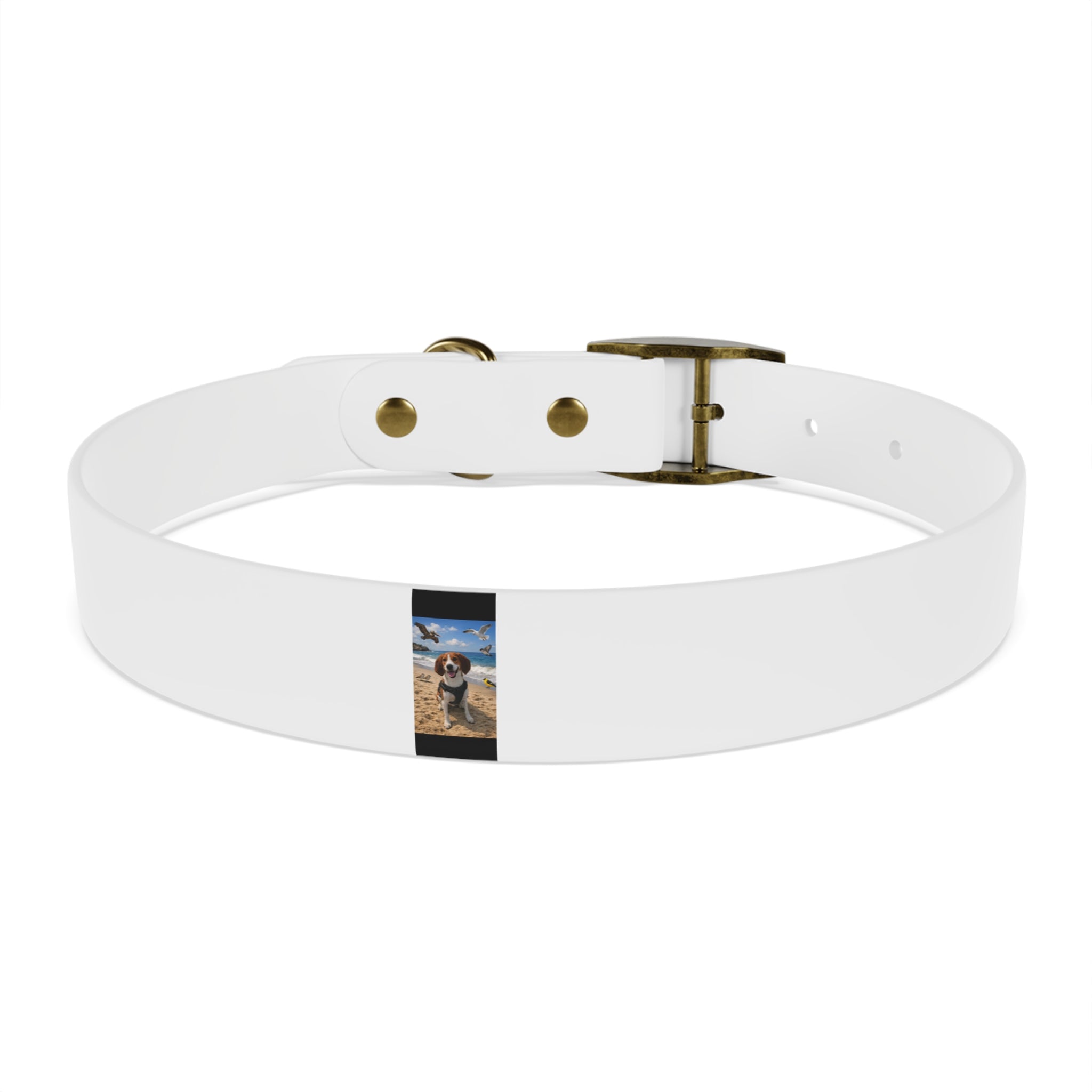 Custom Photo Dog Collar — Personalized Picture Collar for Small & Large Dogs