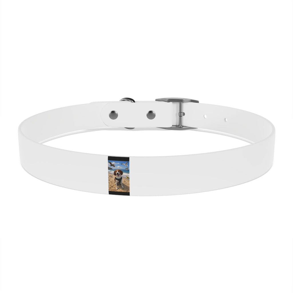 Custom Photo Dog Collar — Personalized Picture Collar for Small & Large Dogs