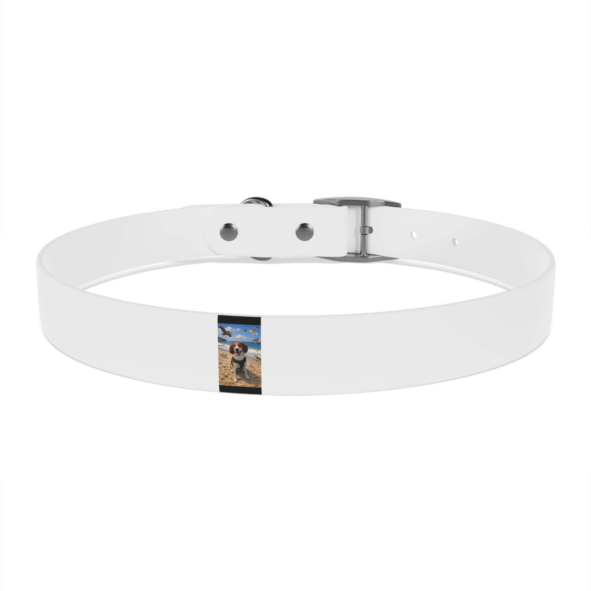 Custom Photo Dog Collar — Personalized Picture Collar for Small & Large Dogs