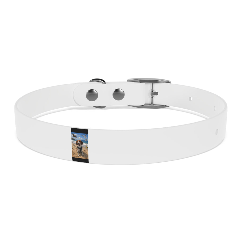 Custom Photo Dog Collar — Personalized Picture Collar for Small & Large Dogs