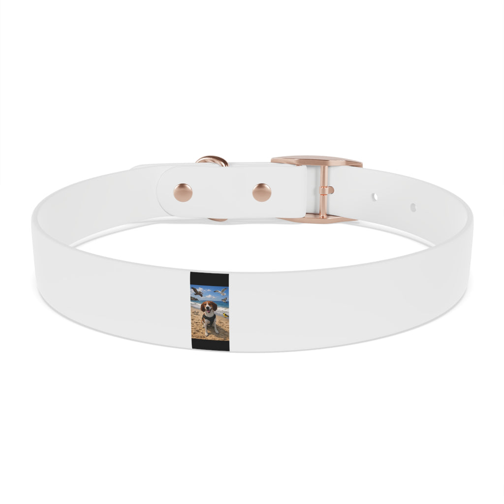 Custom Photo Dog Collar — Personalized Picture Collar for Small & Large Dogs