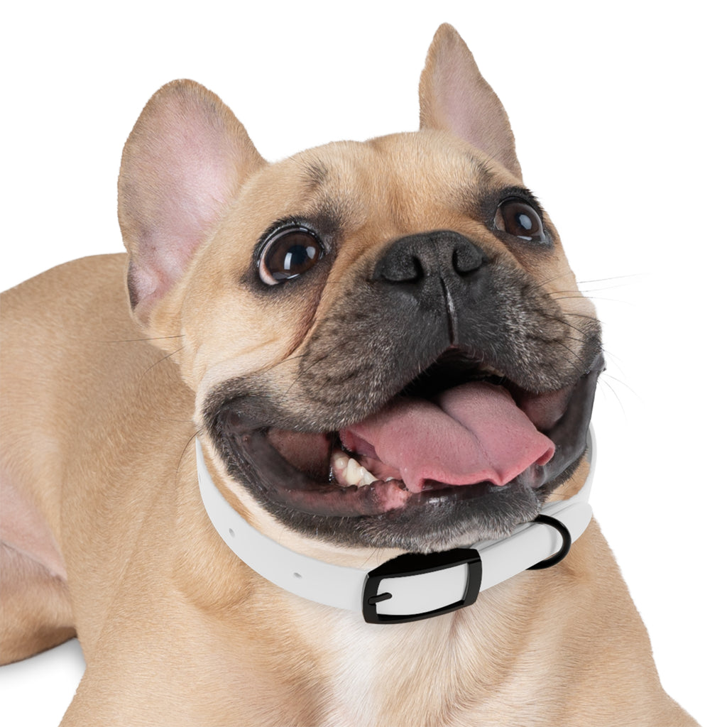 Custom Photo Dog Collar — Personalized Picture Collar for Small & Large Dogs