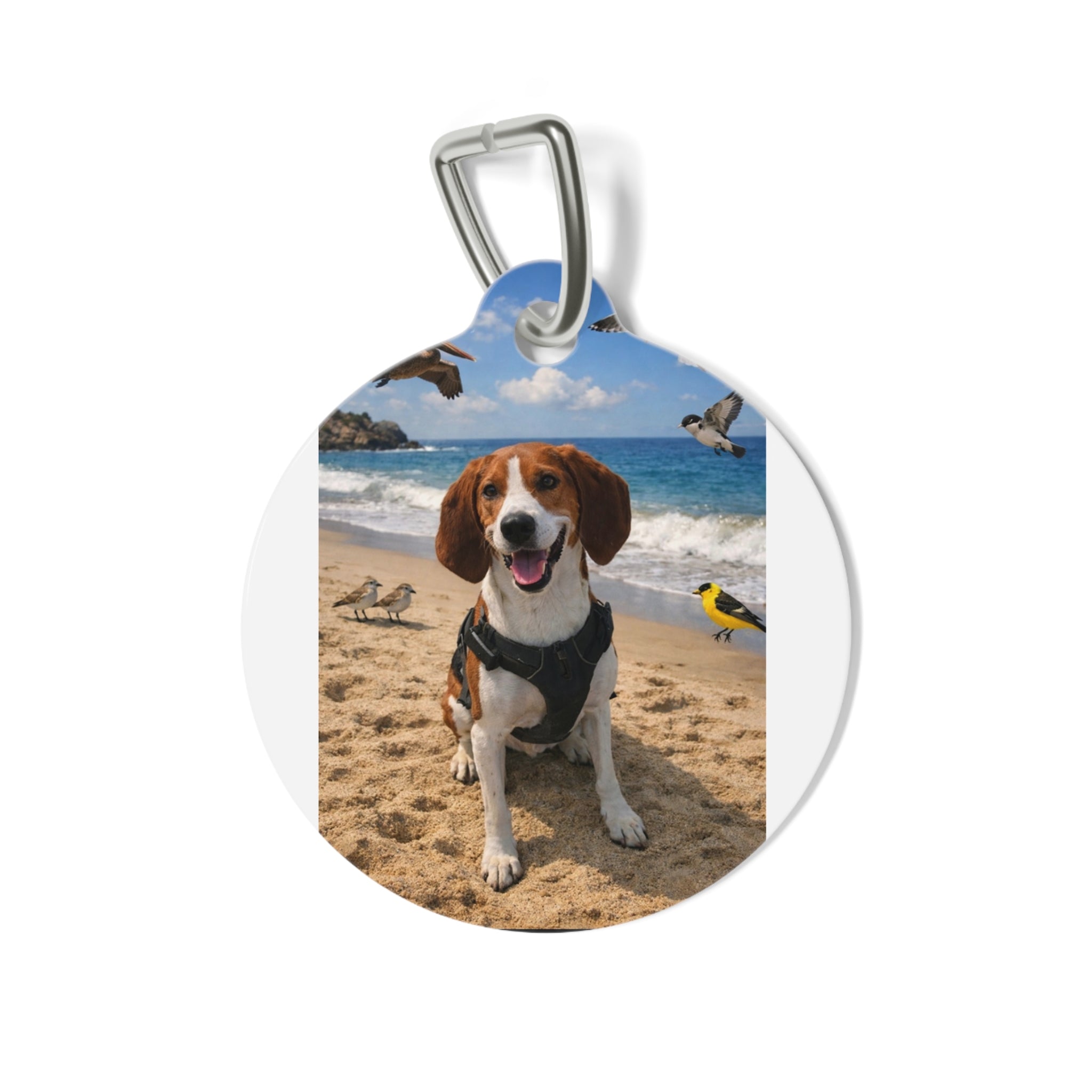 Beach Photo Pet Tag — Personalized Dog ID Tag (Custom Photo)