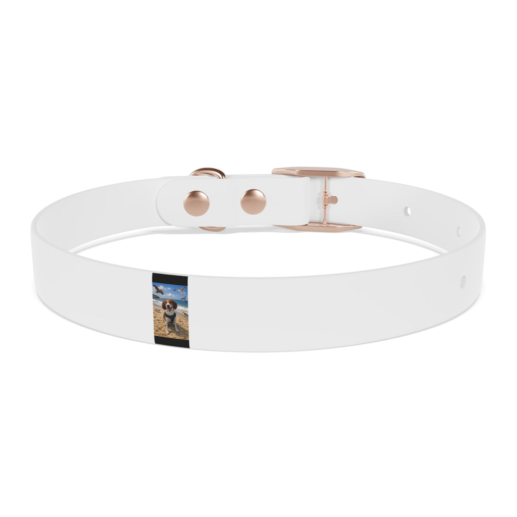 Custom Photo Dog Collar — Personalized Picture Collar for Small & Large Dogs