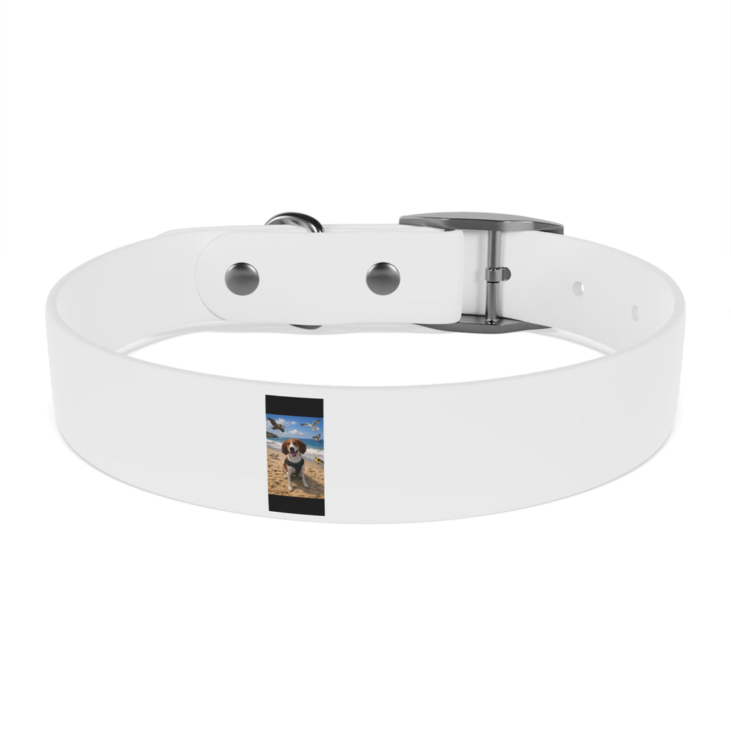 Custom Photo Dog Collar — Personalized Picture Collar for Small & Large Dogs
