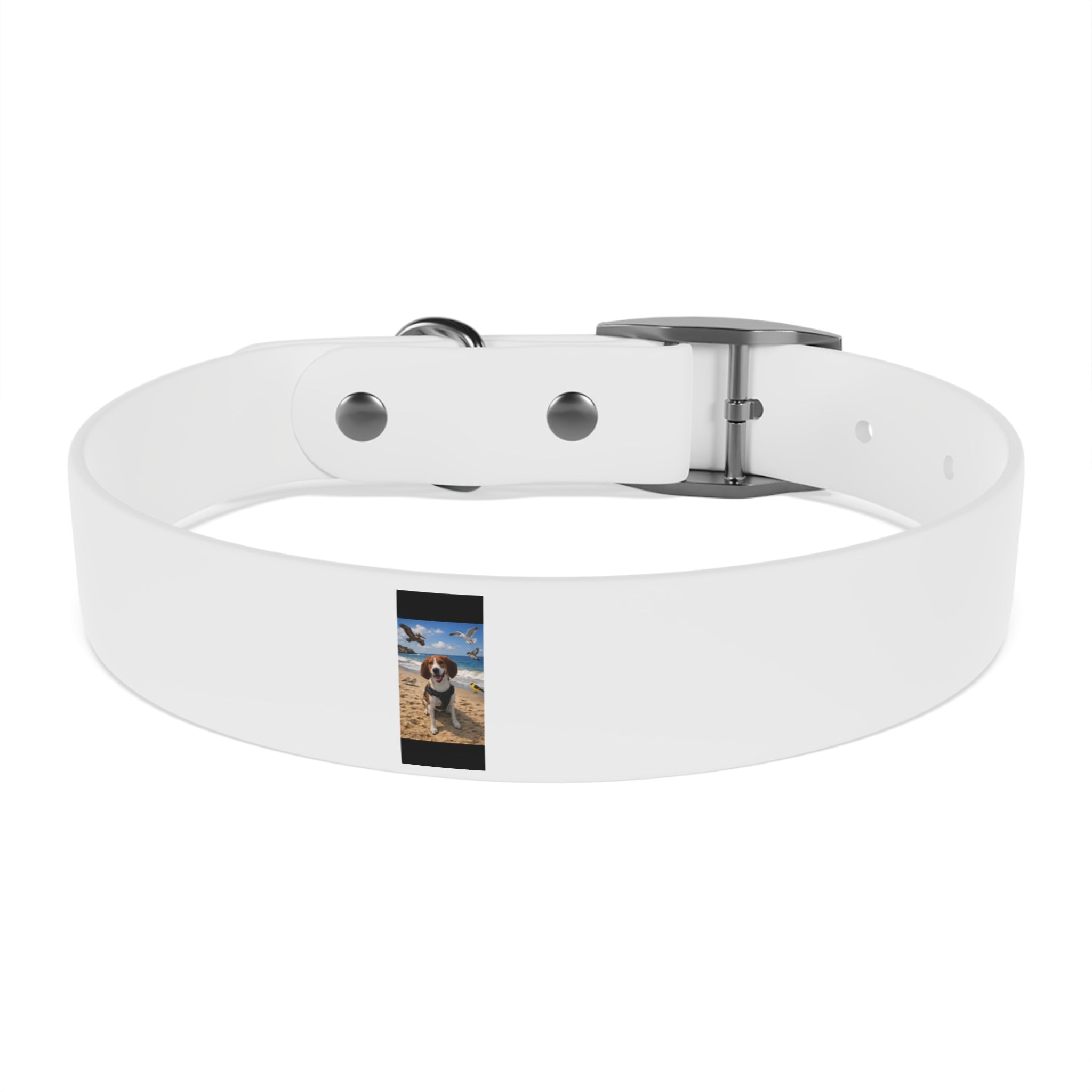 Custom Photo Dog Collar — Personalized Picture Collar for Small & Large Dogs