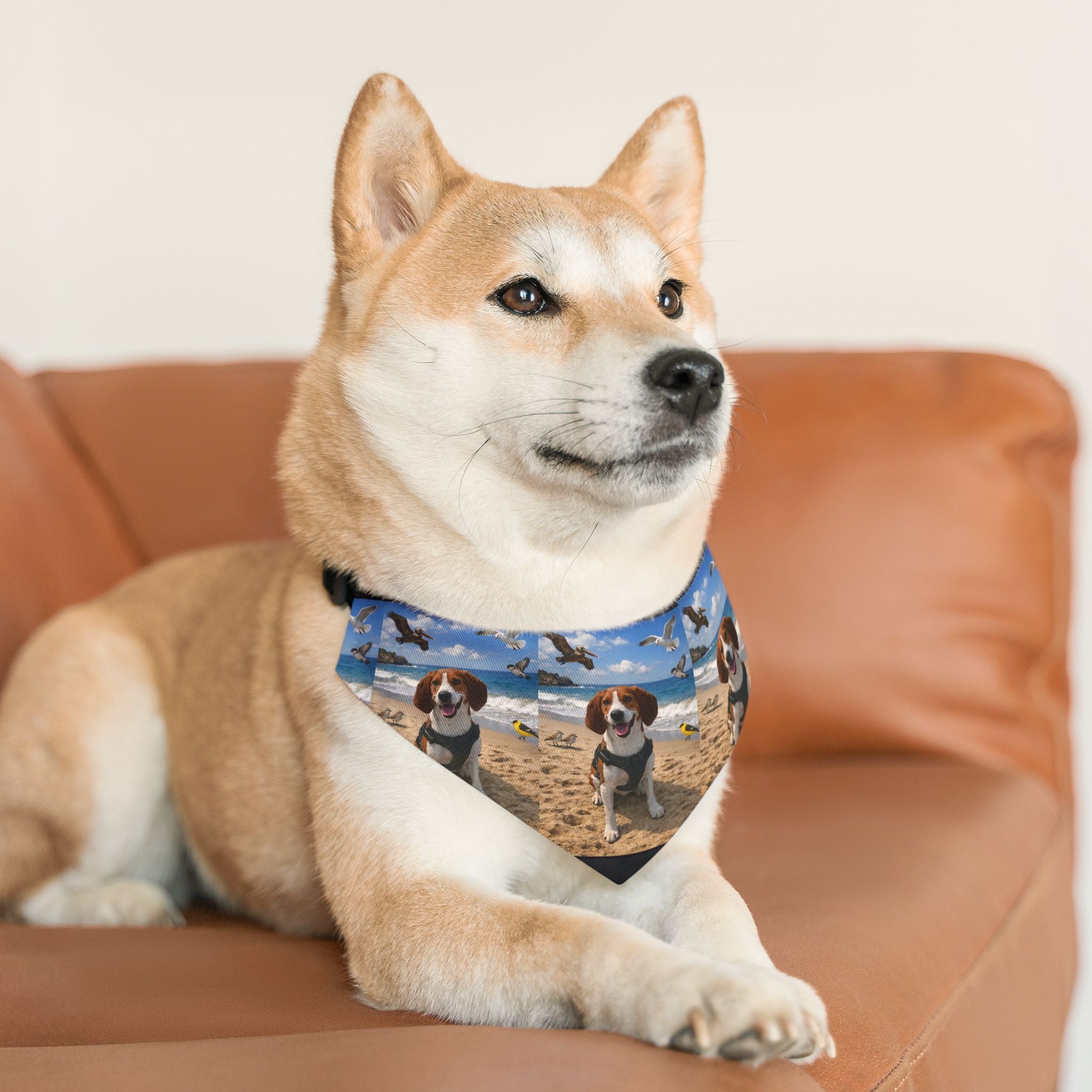 Beach Dog Bandana Collar — Personalized Pet Photo Pattern