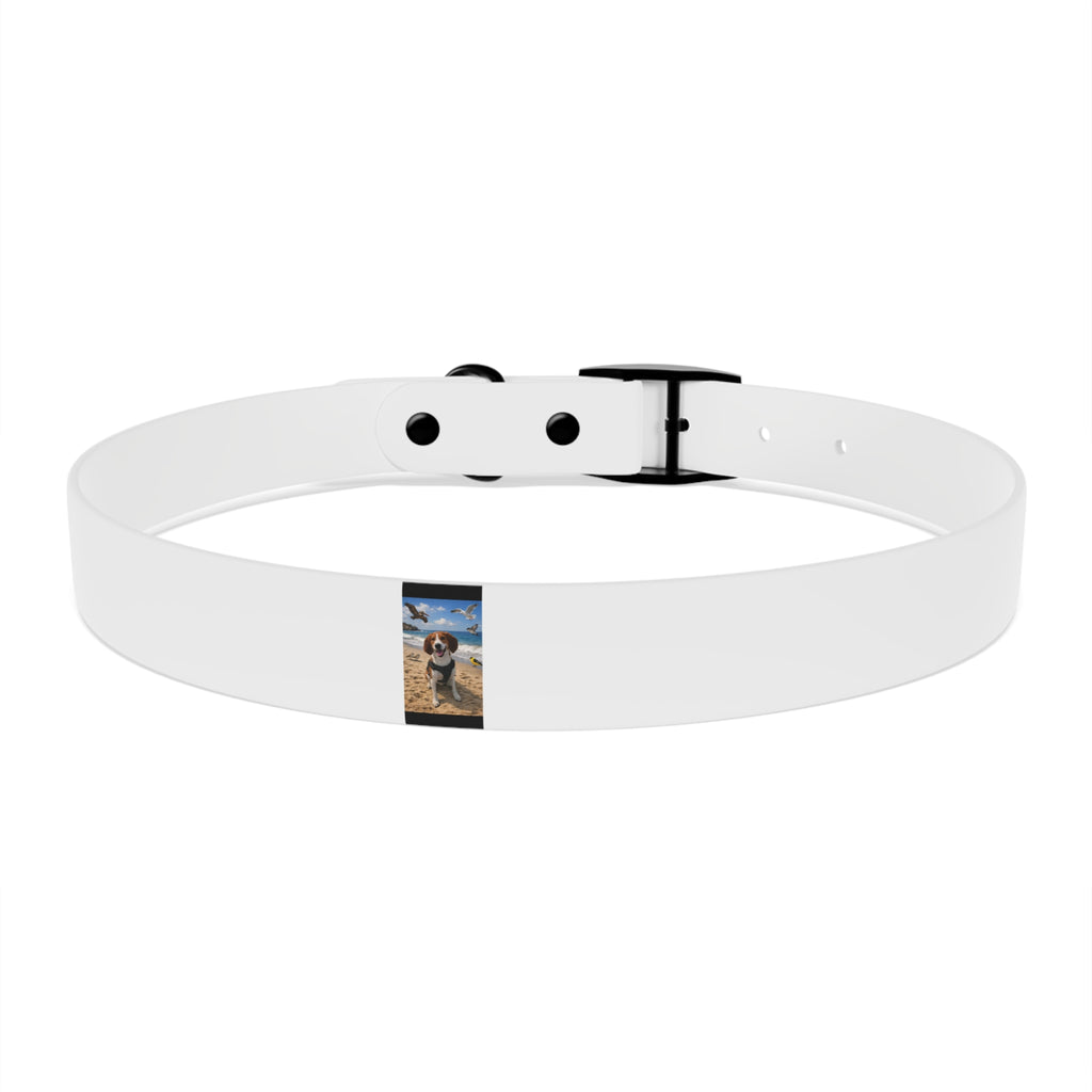 Custom Photo Dog Collar — Personalized Picture Collar for Small & Large Dogs