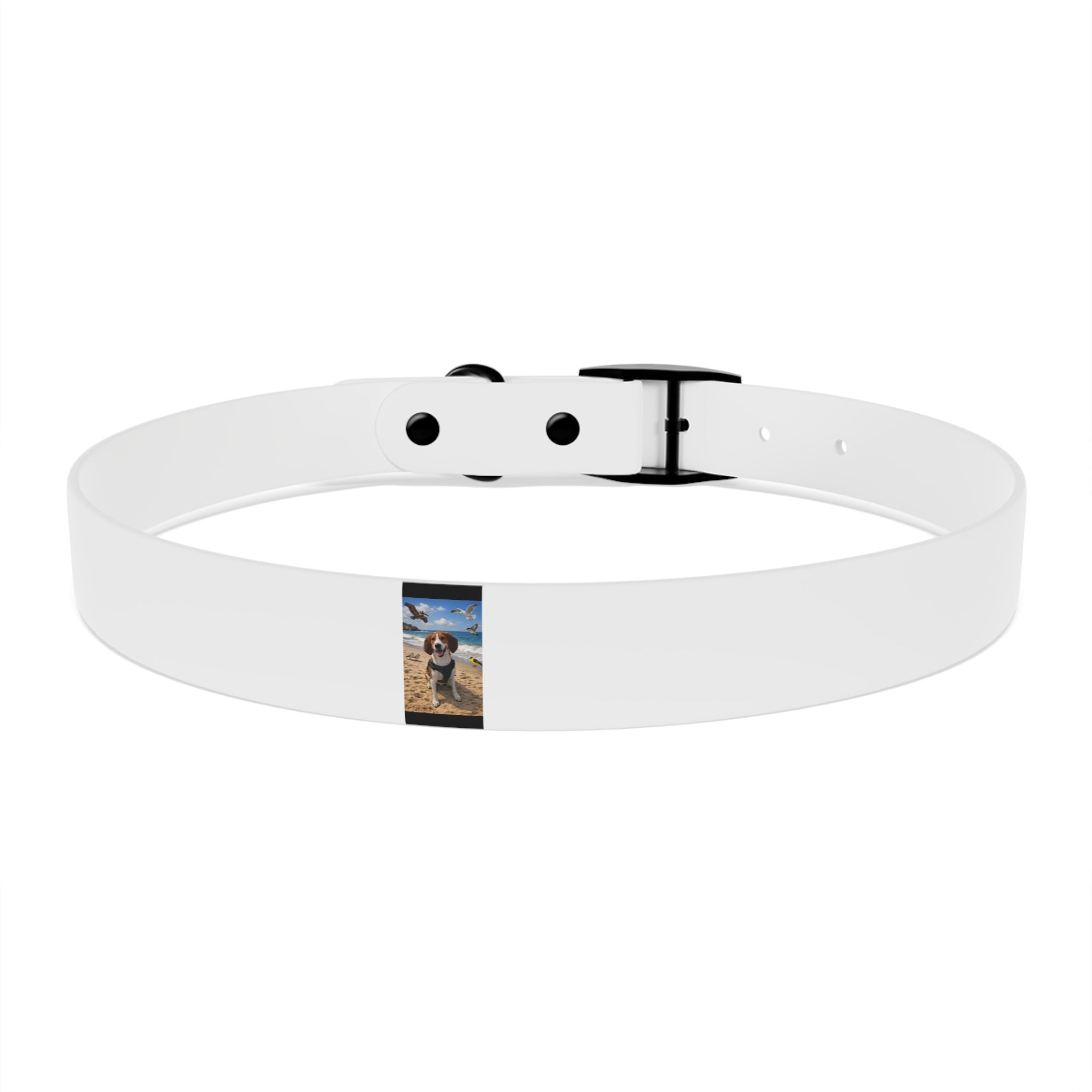 Custom Photo Dog Collar — Personalized Picture Collar for Small & Large Dogs
