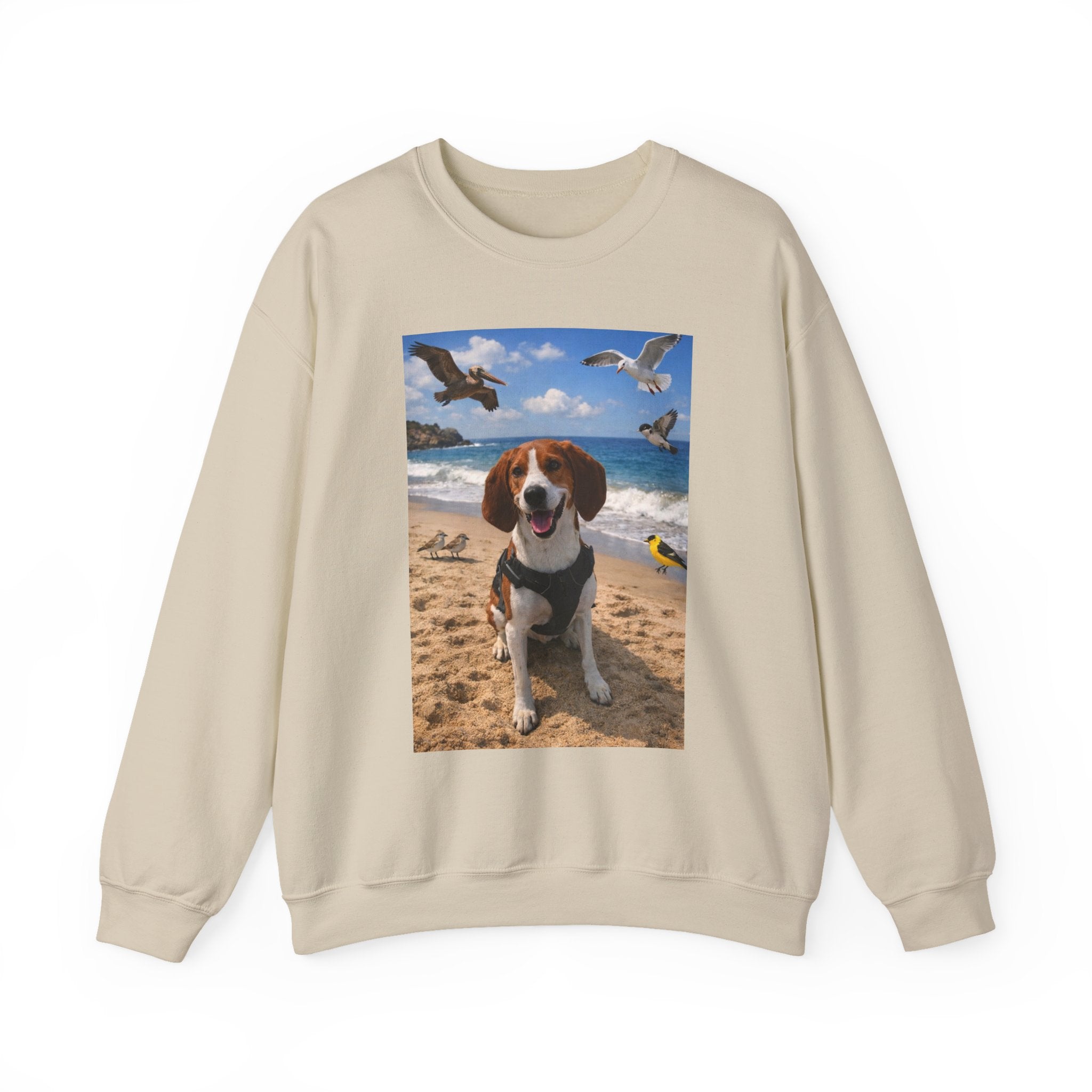 Beach Dog Photo Sweatshirt — Cute Beagle Seagulls Graphic Crewneck