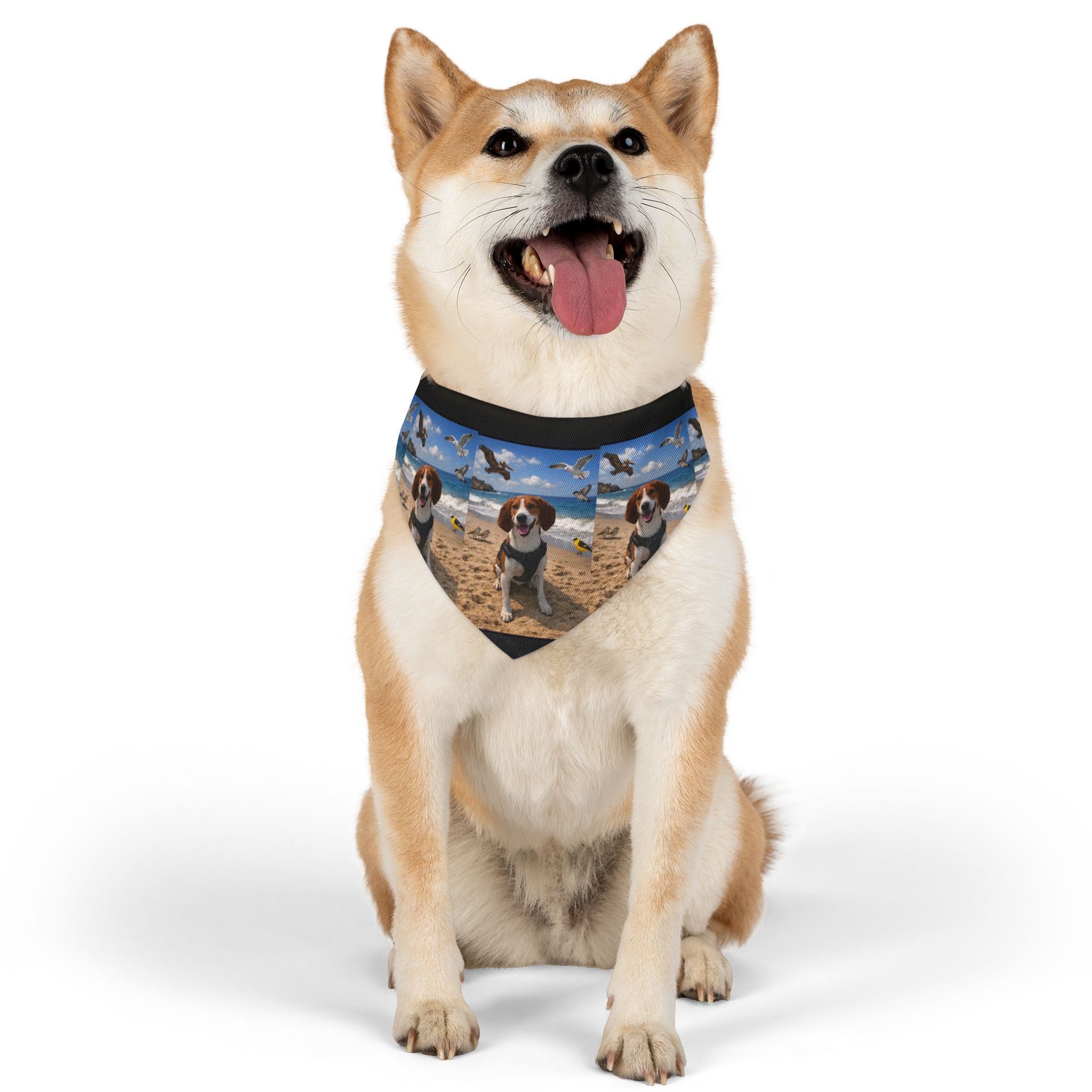 Beach Dog Bandana Collar — Personalized Pet Photo Pattern