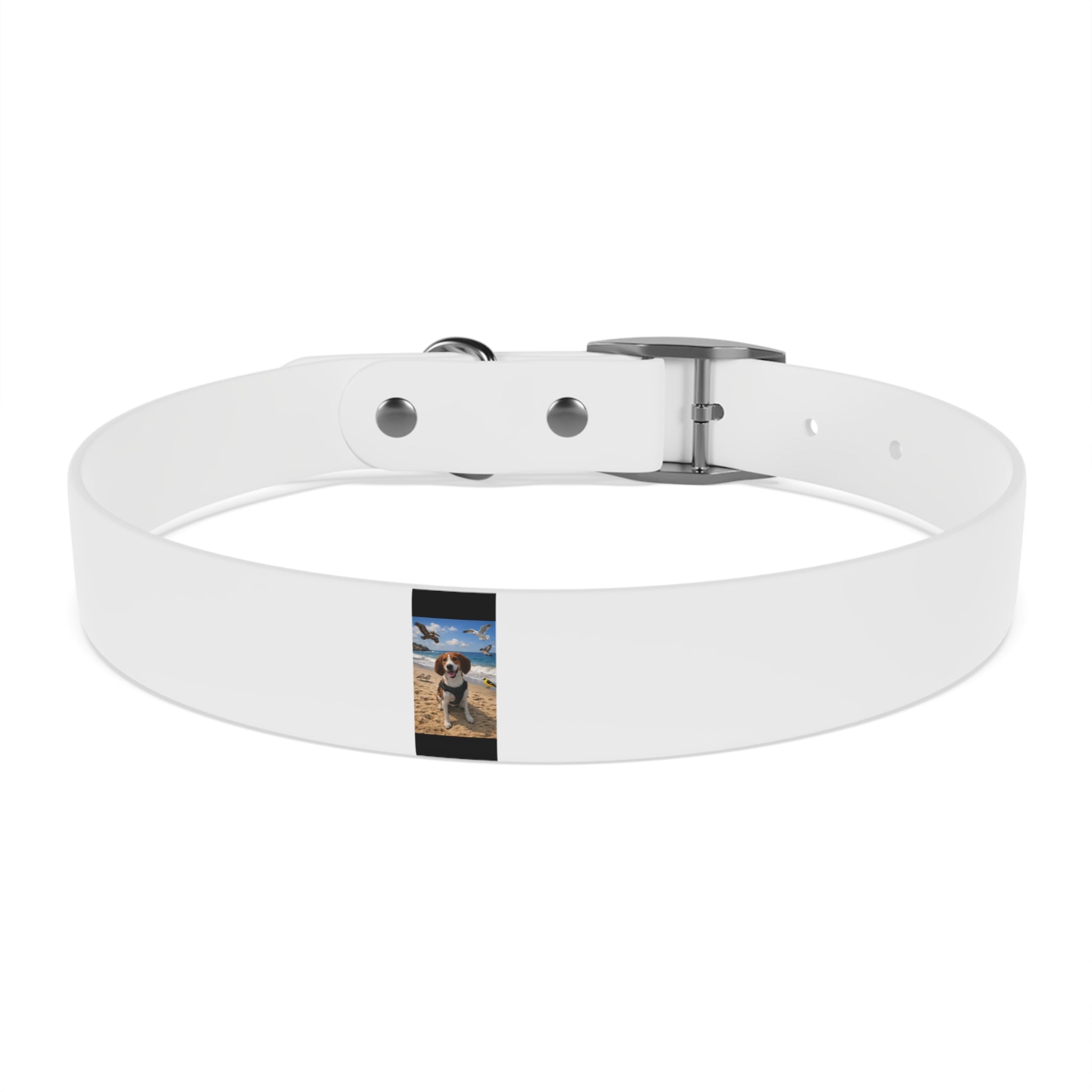 Custom Photo Dog Collar — Personalized Picture Collar for Small & Large Dogs