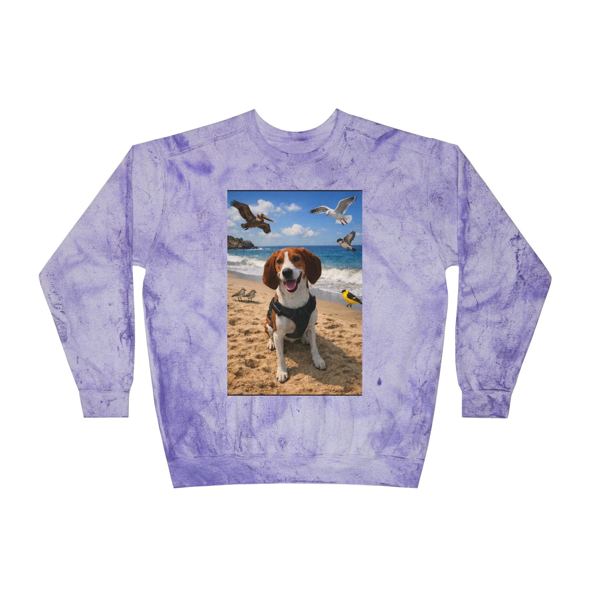 Beach Dog Crewneck Sweatshirt — Happy Beagle Seagulls Photo Print