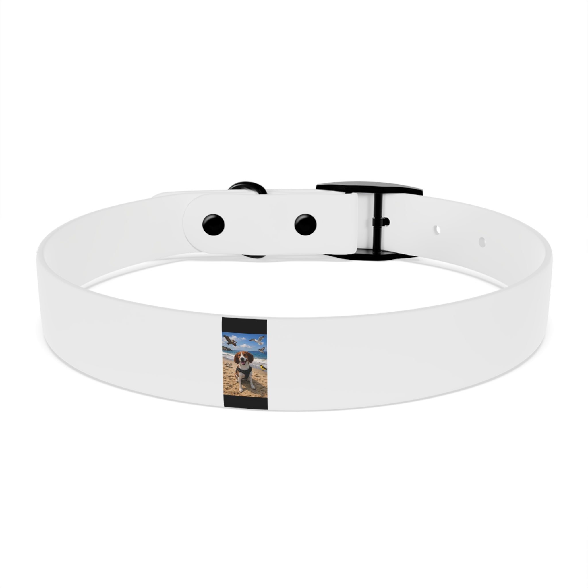 Custom Photo Dog Collar — Personalized Picture Collar for Small & Large Dogs