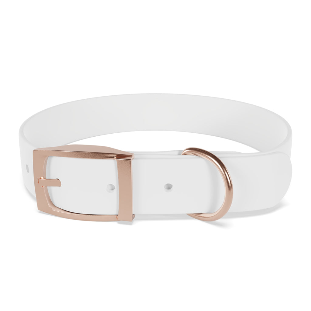 Custom Photo Dog Collar — Personalized Picture Collar for Small & Large Dogs