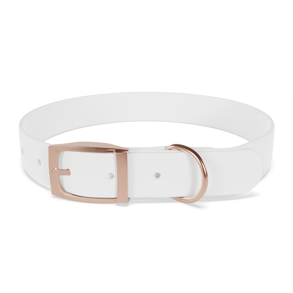 Custom Photo Dog Collar — Personalized Picture Collar for Small & Large Dogs