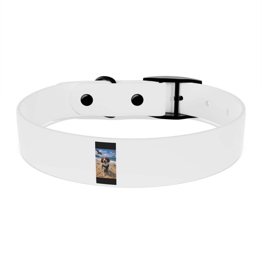 Custom Photo Dog Collar — Personalized Picture Collar for Small & Large Dogs