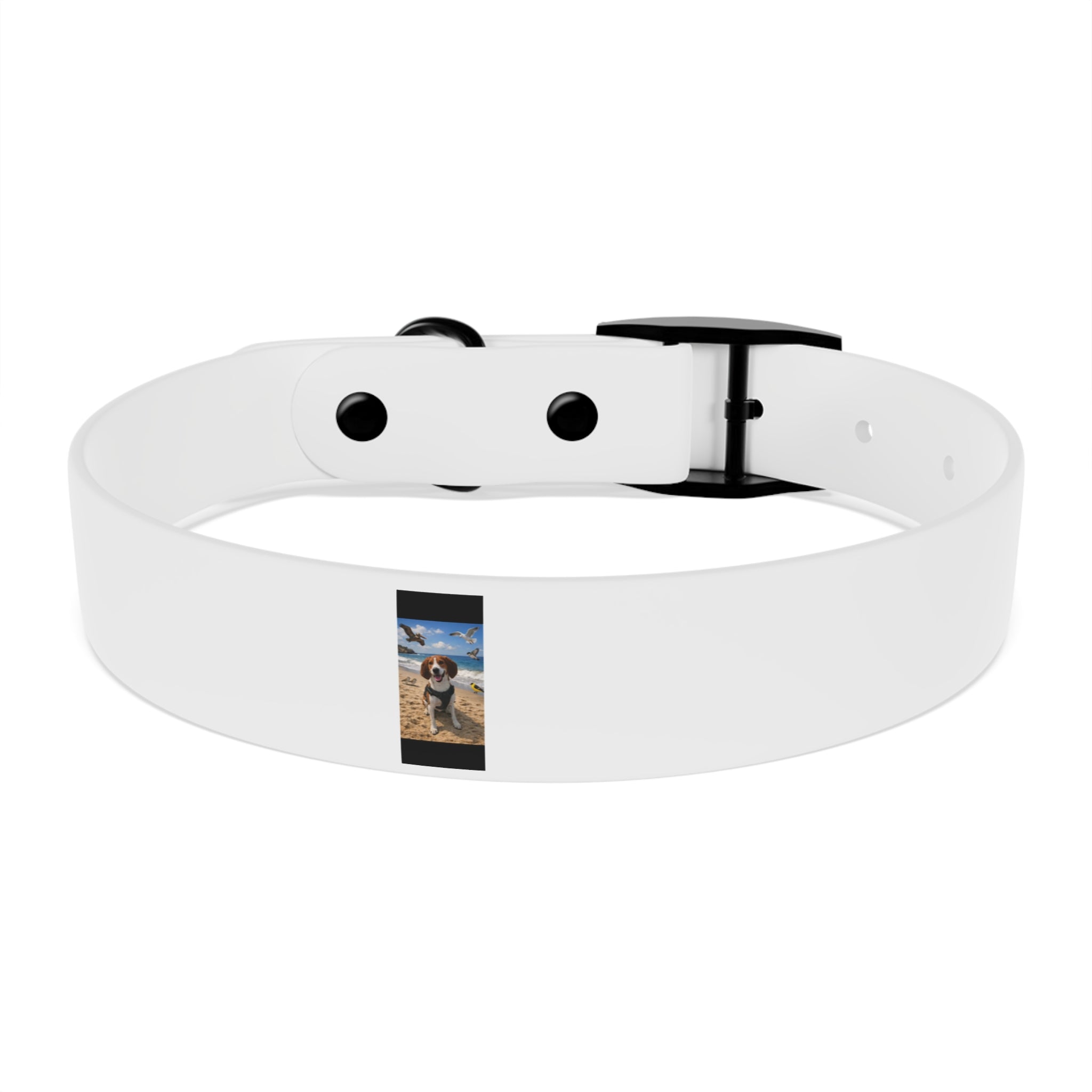Custom Photo Dog Collar — Personalized Picture Collar for Small & Large Dogs