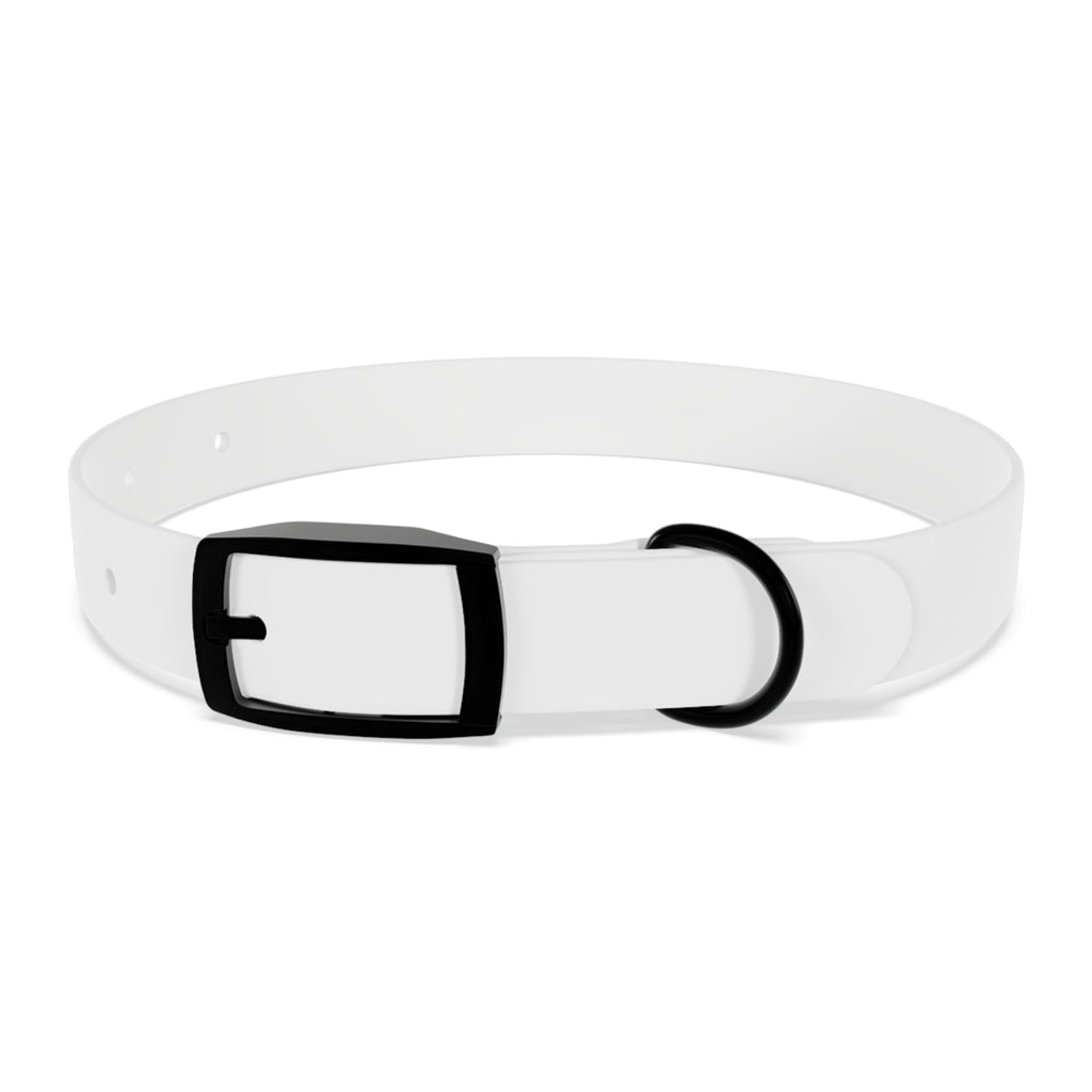 Custom Photo Dog Collar — Personalized Picture Collar for Small & Large Dogs