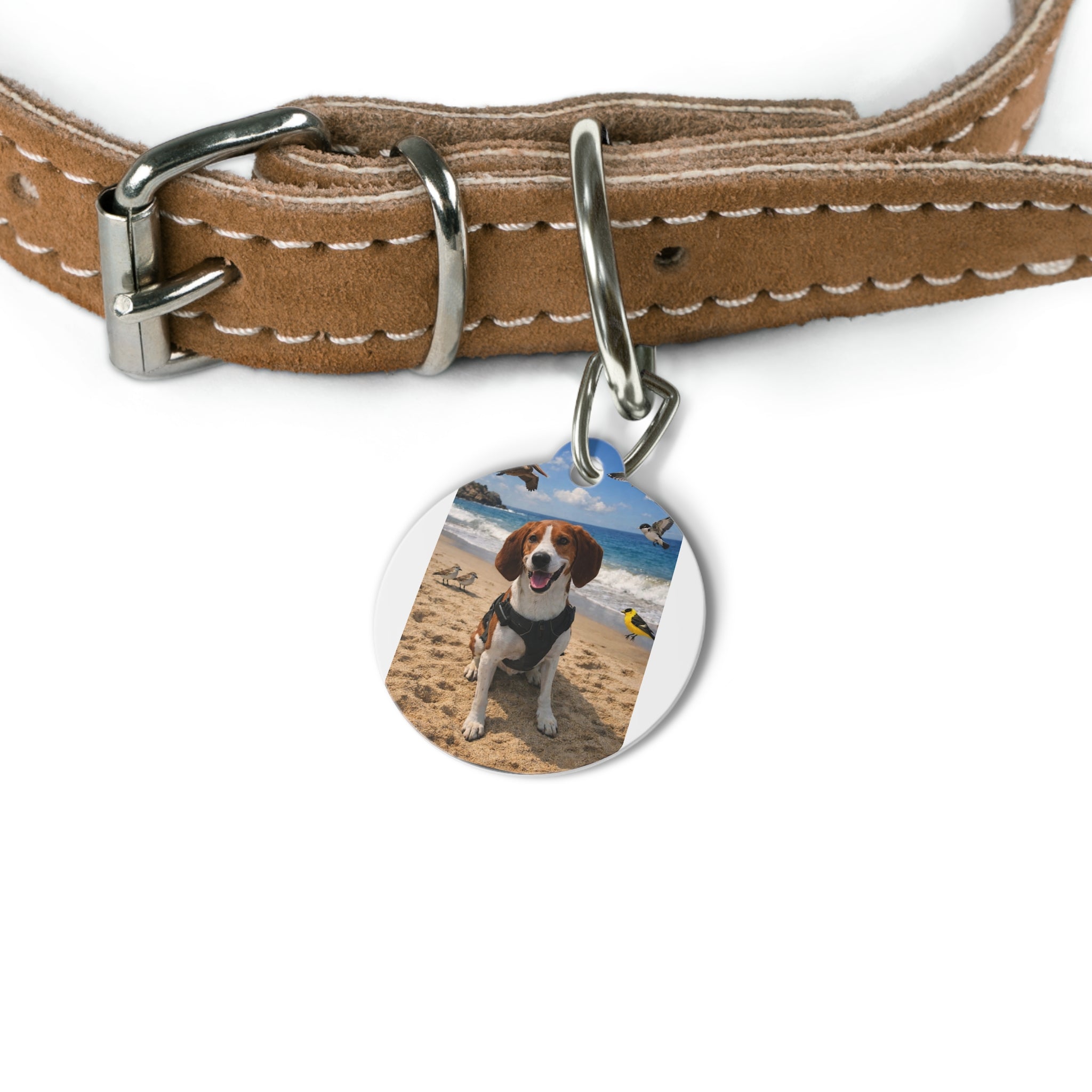 Beach Photo Pet Tag — Personalized Dog ID Tag (Custom Photo)