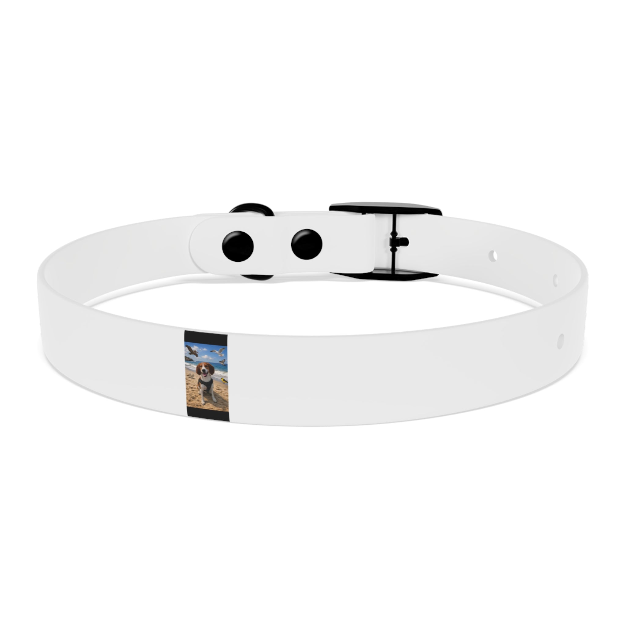 Custom Photo Dog Collar — Personalized Picture Collar for Small & Large Dogs