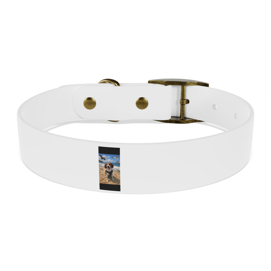 Custom Photo Dog Collar — Personalized Picture Collar for Small & Large Dogs
