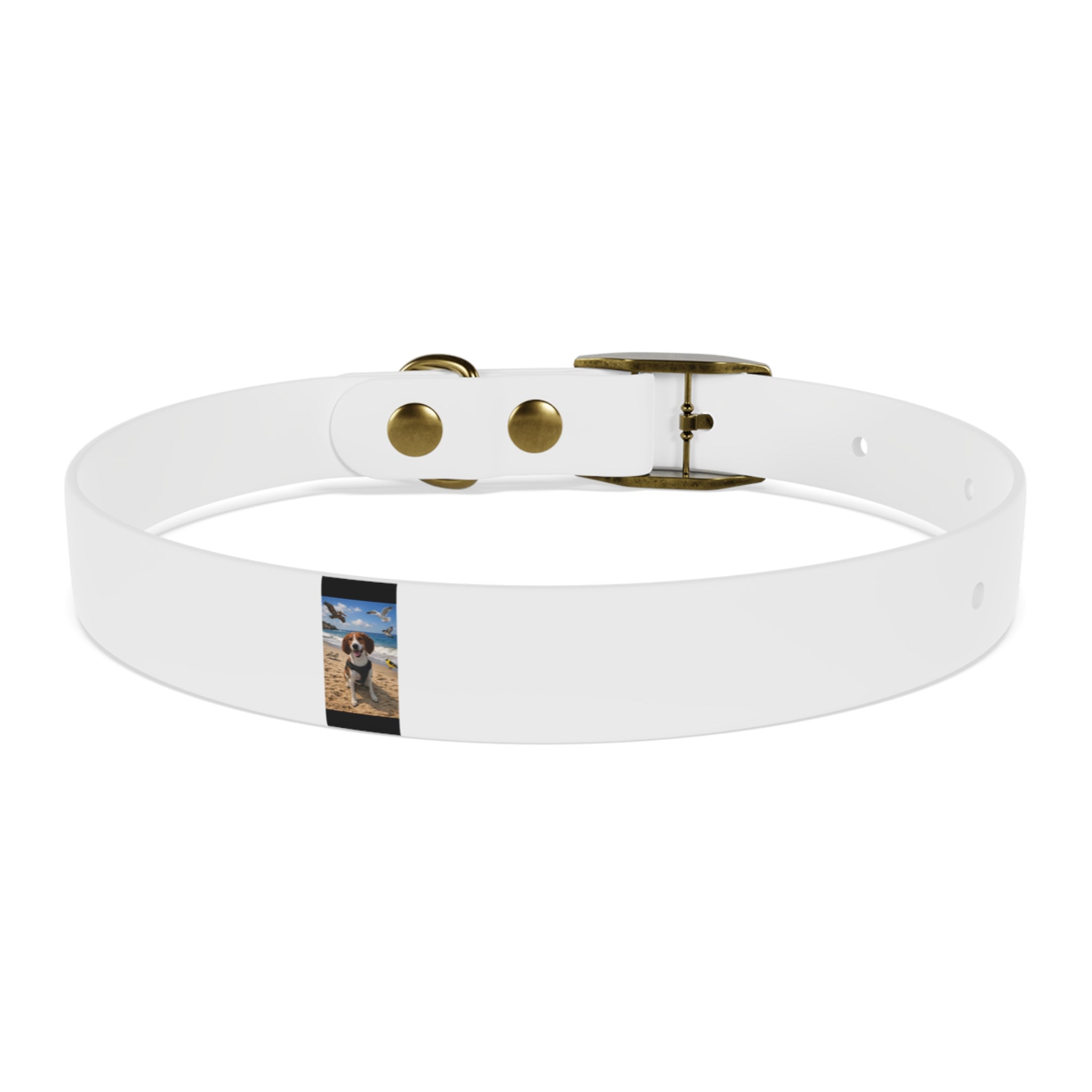 Custom Photo Dog Collar — Personalized Picture Collar for Small & Large Dogs