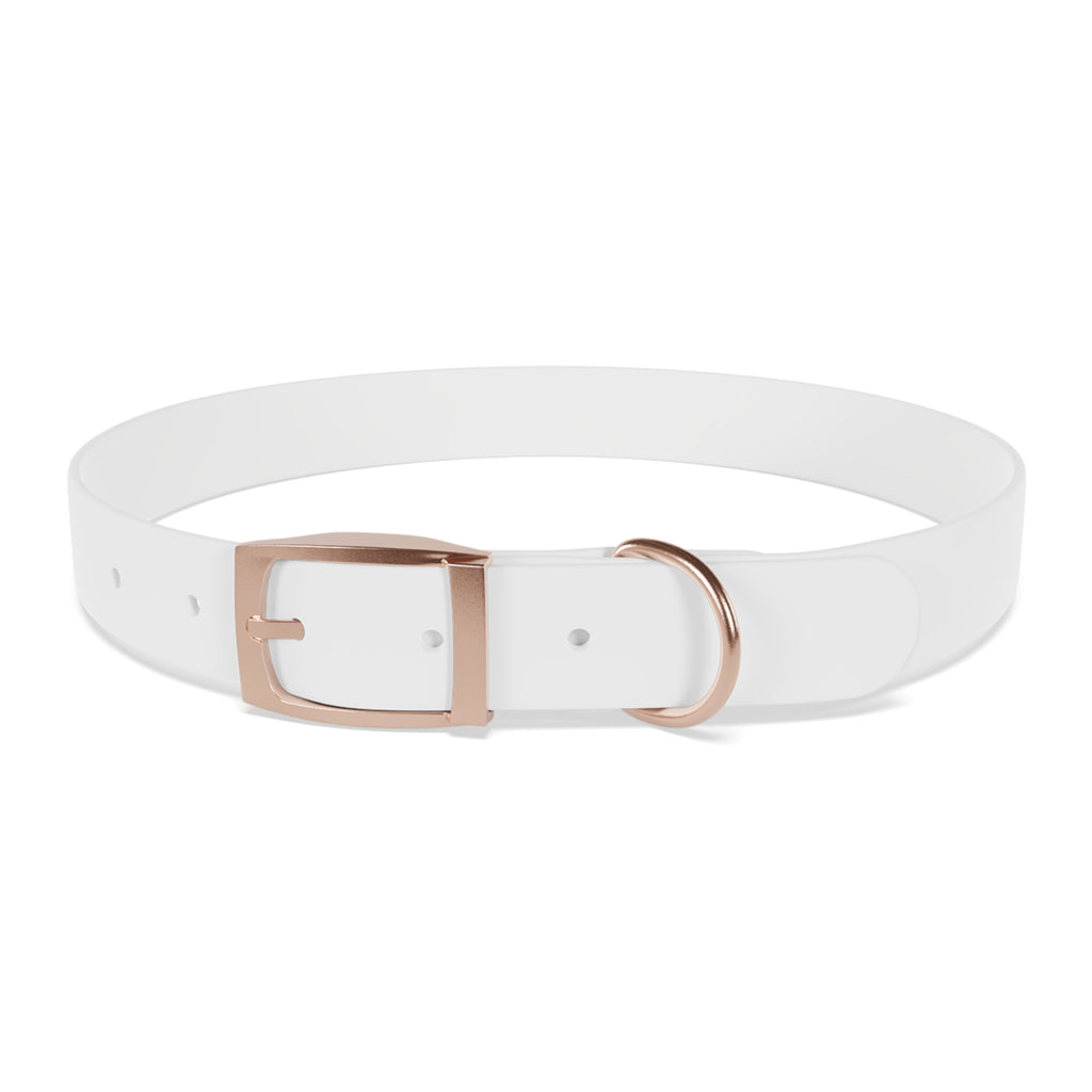 Custom Photo Dog Collar — Personalized Picture Collar for Small & Large Dogs