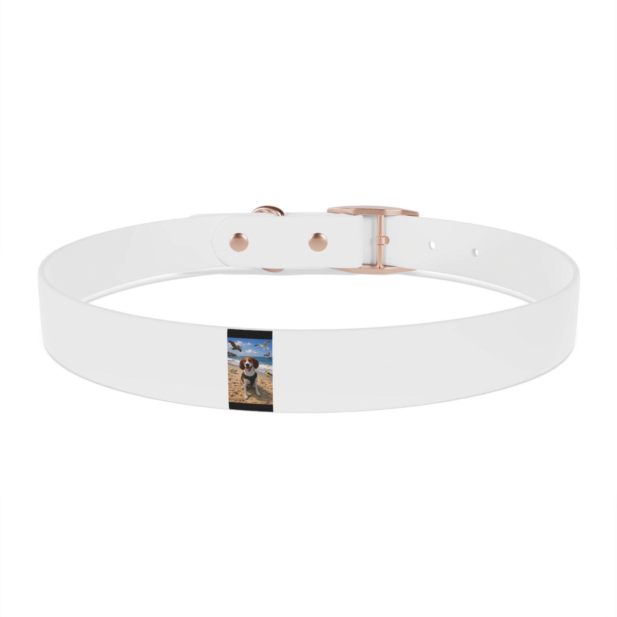 Custom Photo Dog Collar — Personalized Picture Collar for Small & Large Dogs