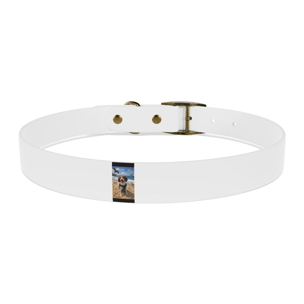 Custom Photo Dog Collar — Personalized Picture Collar for Small & Large Dogs