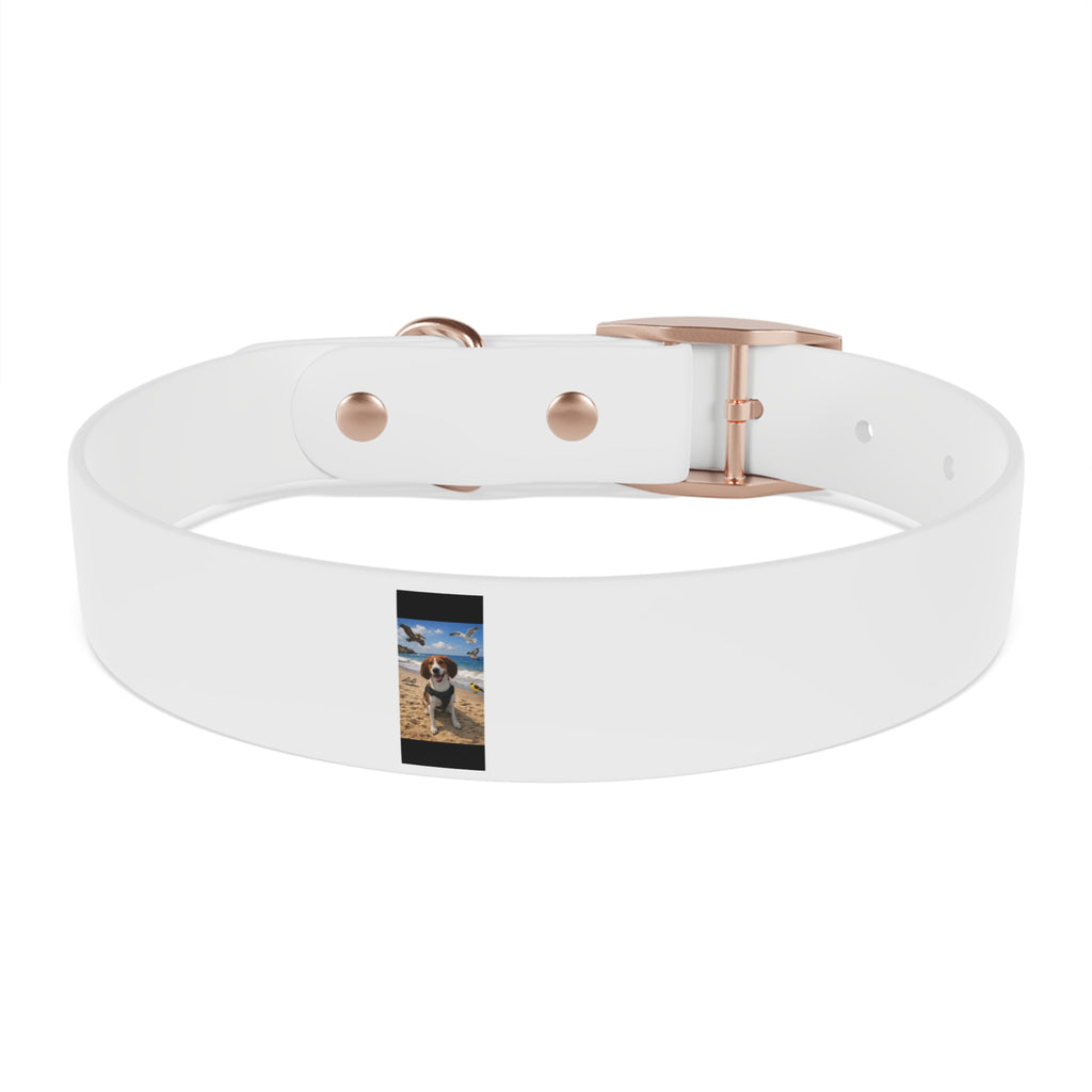 Custom Photo Dog Collar — Personalized Picture Collar for Small & Large Dogs